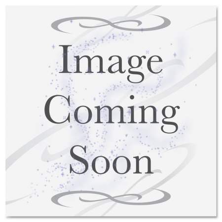 Toshiba T9029U Black Toner Cartridge
