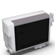 Compatible Epson T760920 (760) UltraChrome HD Ink, Light Light Black (T760920)